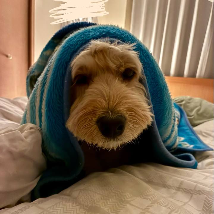 15e90b6c bef7 4dd1 bc42 4a4edae0edec 1769520525247