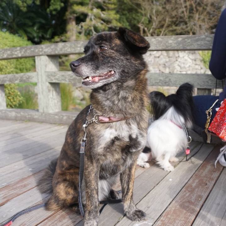 15e9122b dcd1 4c89 ad2c 39f22a4f9711 1523762163177