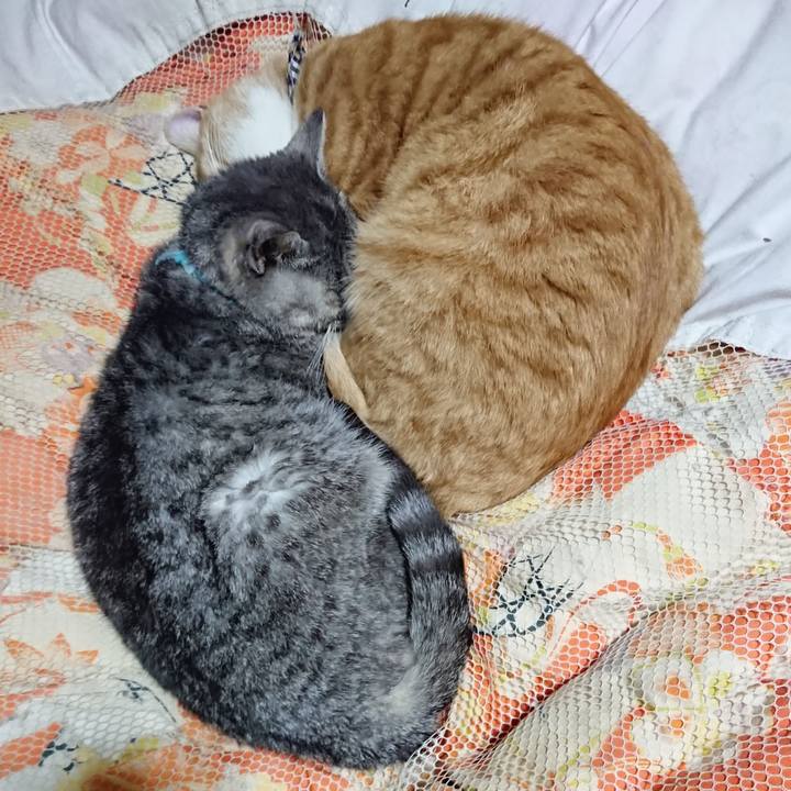 15e9367b 55a5 434e acf0 bc91e56e8ff3 1574857085845