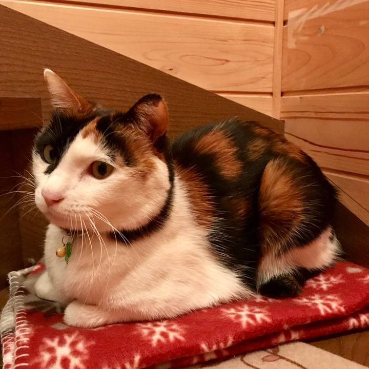 15e95567 998c 42dc 9c33 4b6b6bad41ee 1520167655772