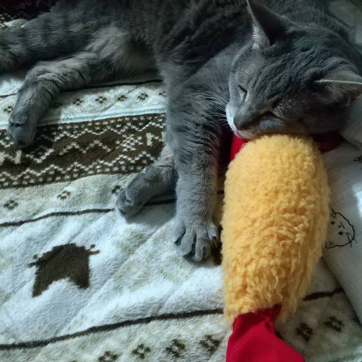 15e9856e df23 4413 9b09 89249a8094e7 1681285157566