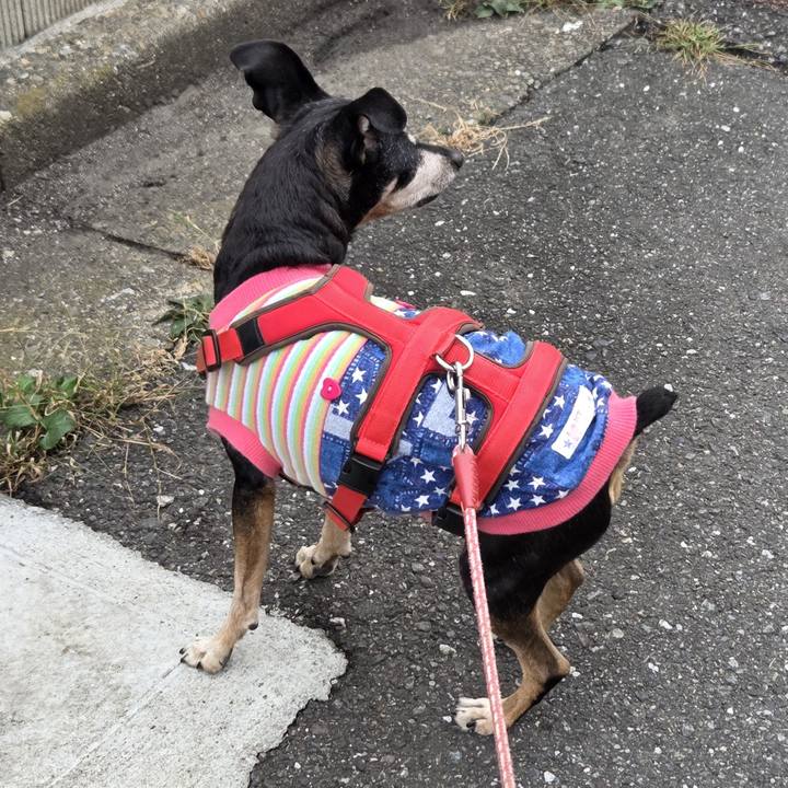 15e99207 5a17 4ffd 82df b01be39cdde5 1760310857435