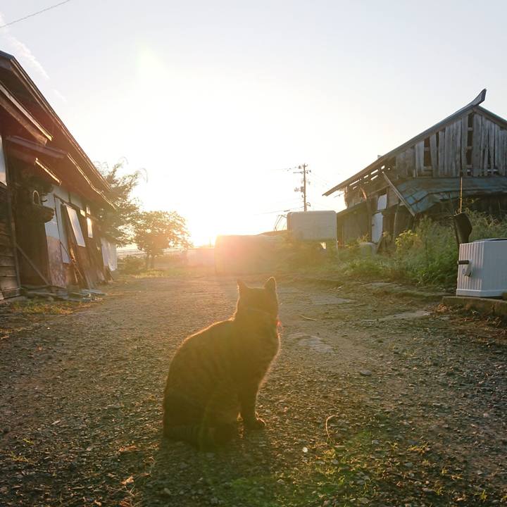 15e9b5e0 3d7b 4b76 8a88 c45d6662c10b 1662843377687