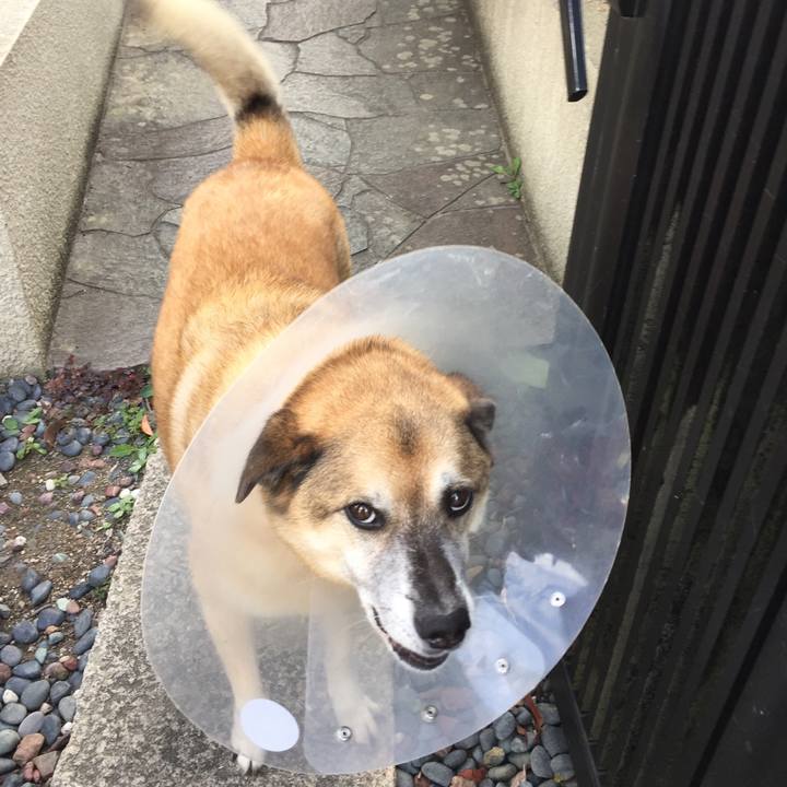 15e9dd35 7cfa 49e4 a28c 7bbffb019c3c 1600237349992