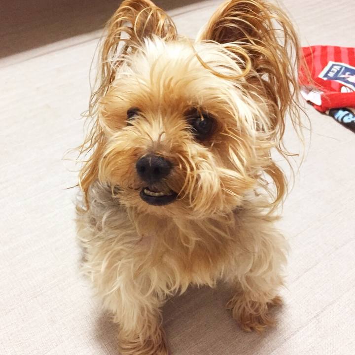 15e9f31a 6f13 4c5f a87d 7b99f4a63016 1531821028674