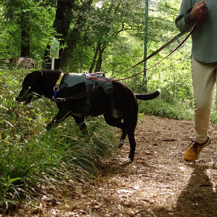 15ea2227 d756 46fc a2ee ddb5b7251d0c 1745626304519