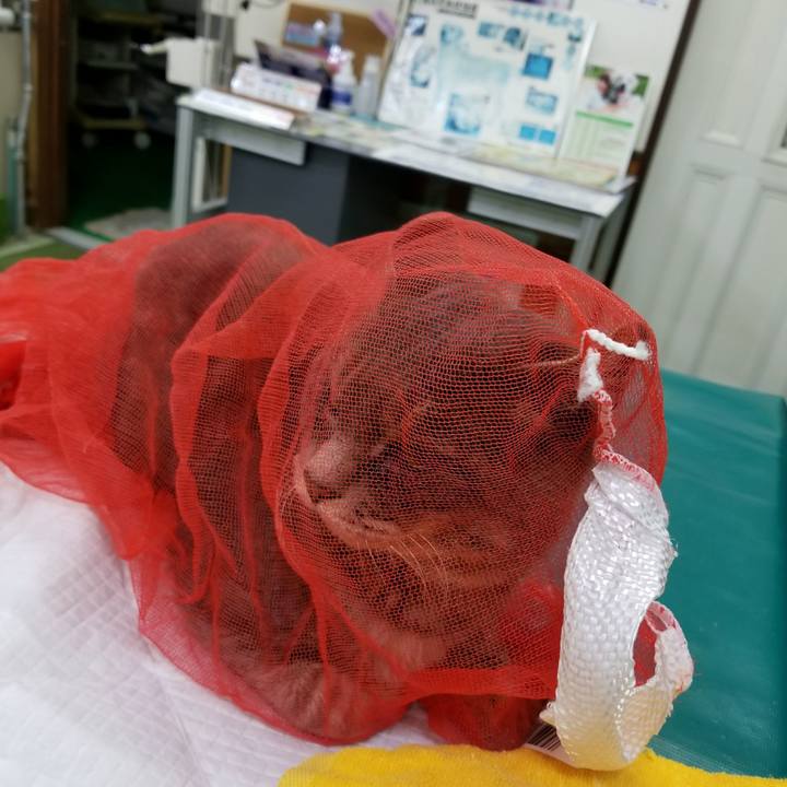 15ea421d 3c05 49ea 852a 0f9fb997d66c 1512744166017