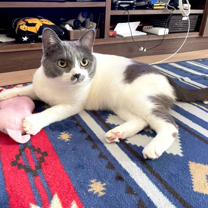 15ea89dd 5a03 449f 9084 71c025055871 1660952150148