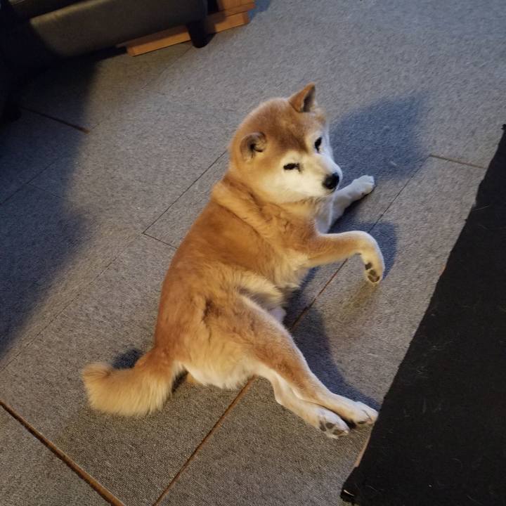 15eaf66e 255f 42f7 a43c d1a94174ba85 1736809723225