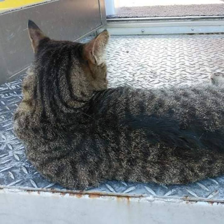 15eb04cf 8ab9 4901 a960 f0d5b4052219 1628211349021