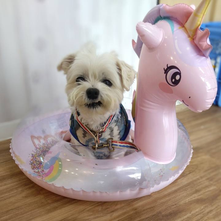 15eb2f63 e710 4145 a994 5397921e928e 1722432421731