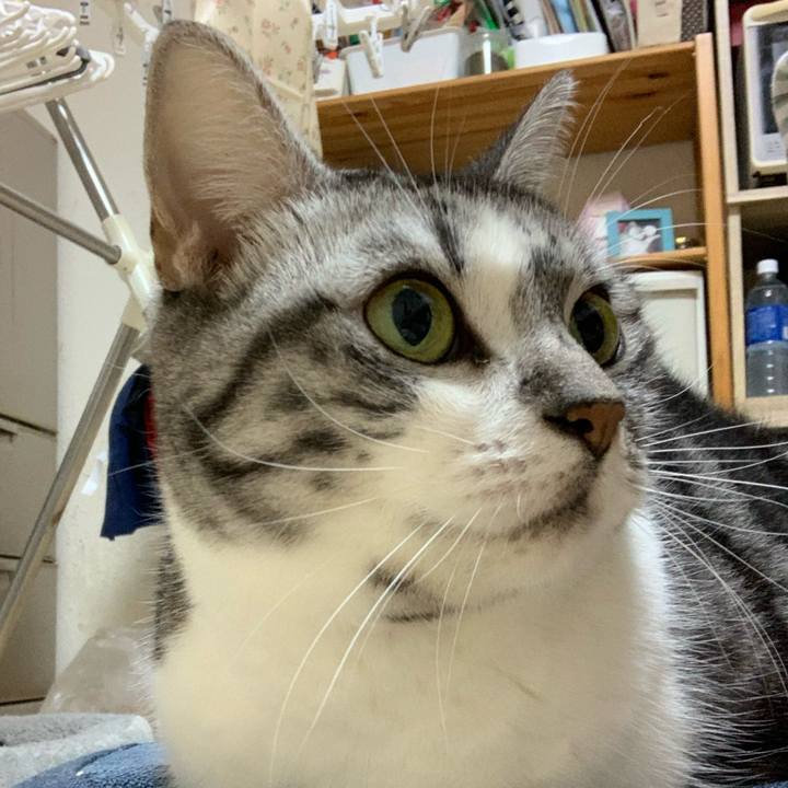 15eb691b a5ce 4815 bc27 ddc29257a8e1 1763820839277