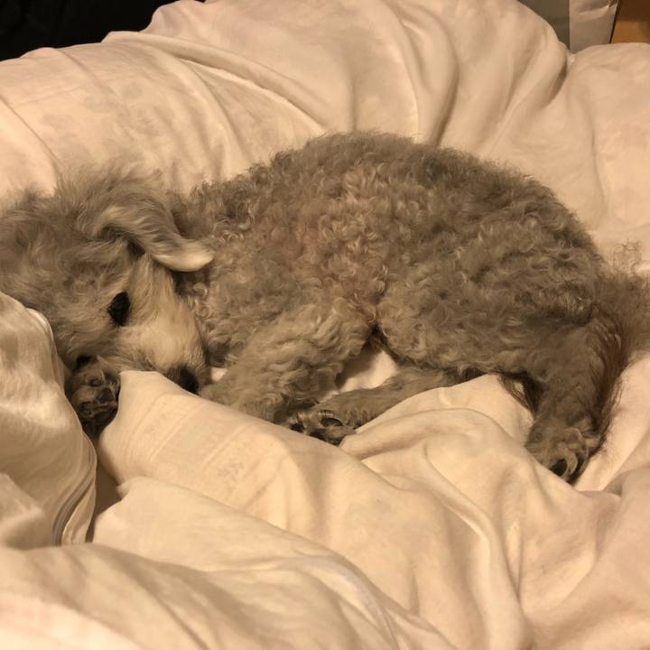 15eb734a 2522 4f19 a9a6 4604677f4ffb 1592525034096