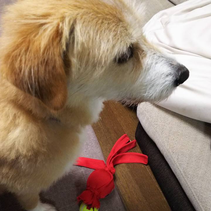 15eb8816 dd62 4755 9b18 10be9a024635 1529489964738