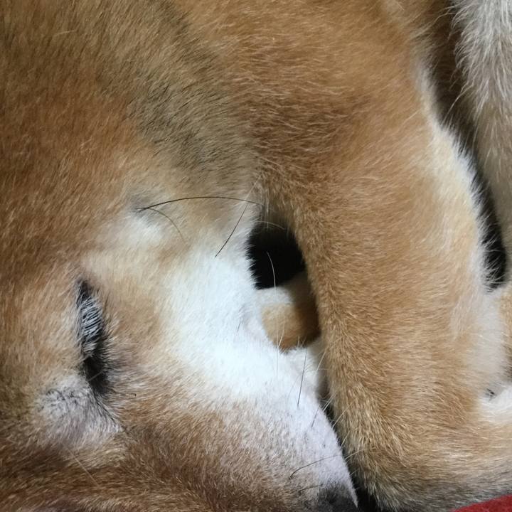 15eb938d 826c 4e47 8e22 e85e96b20e4e 1594943252552