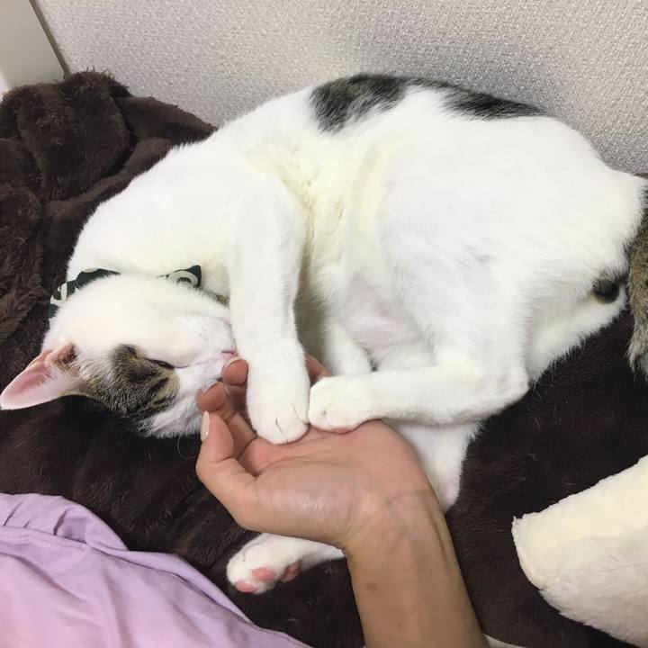 15eb9cdb b29b 4d59 8b8a 5ea035defa70 1508820444480