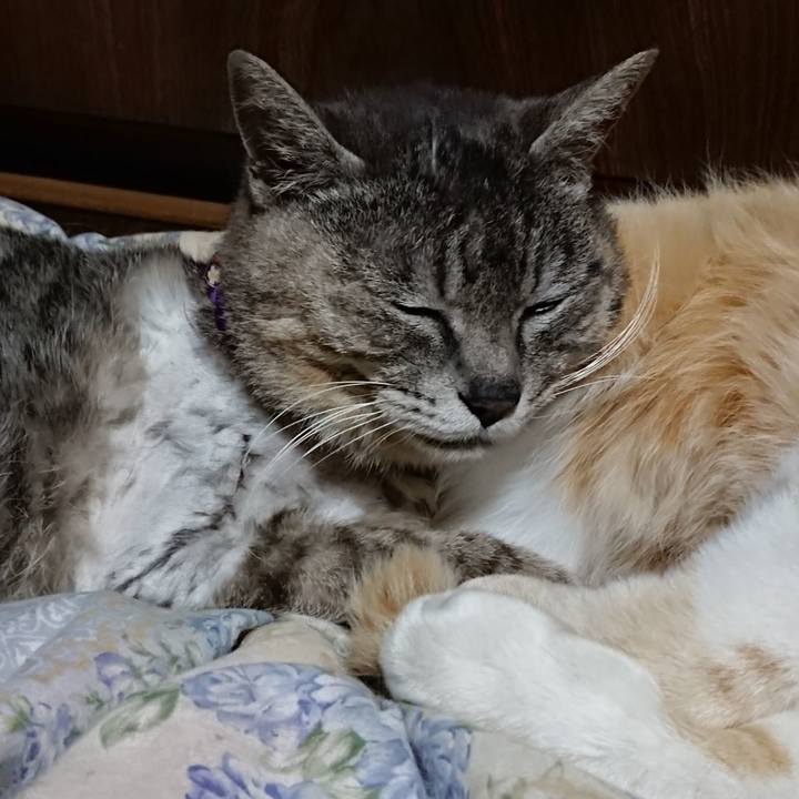 15eb9f2b 8174 4104 b045 cb6600803797 1589631351310