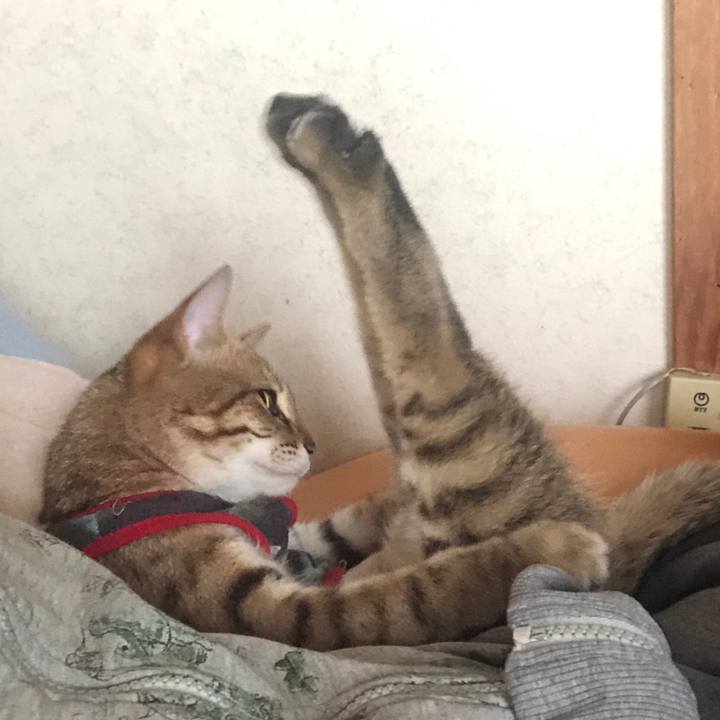 15eba277 9091 41ba 8f65 dd5f1ae0af86 1587257073314