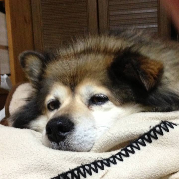 15ebb8a7 bb46 4315 be4c a83ca1e765dd 1575076342337