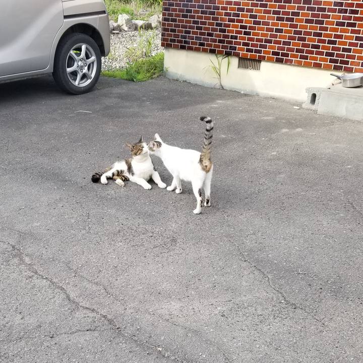 15ebfaca a1ac 4934 a008 29d866ffa770 1598361169684