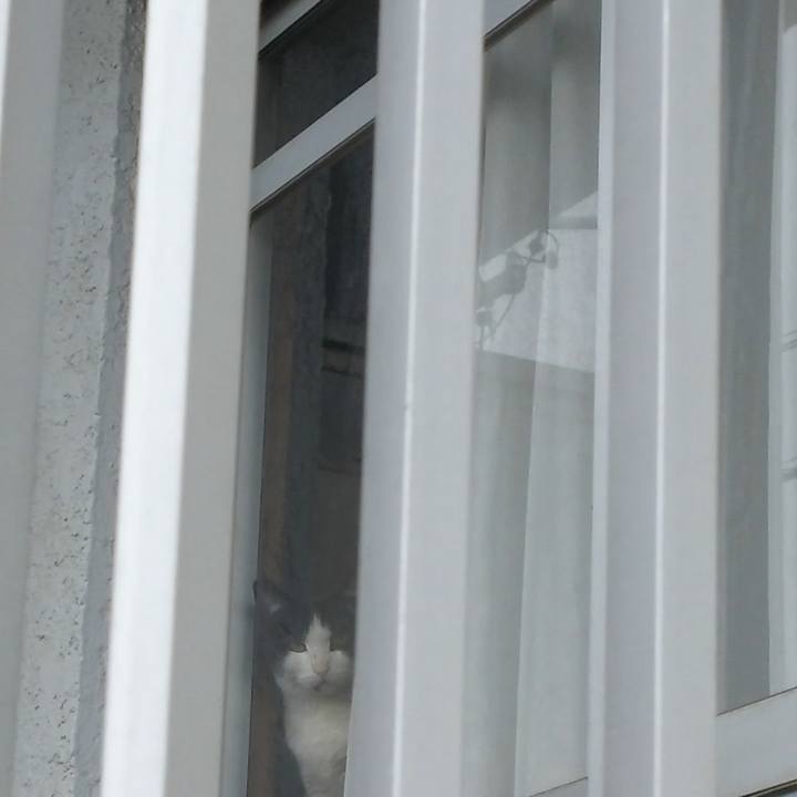 15ec1f3e a74f 4bff b249 677a375746ef 1545798238331