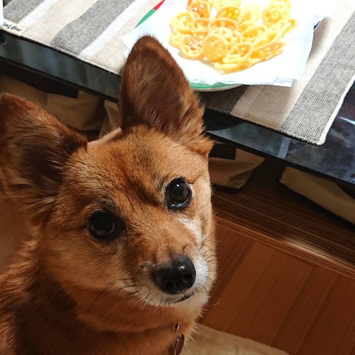 15ec2585 43b7 4025 a5df 94a0ece8740f 1580735504709