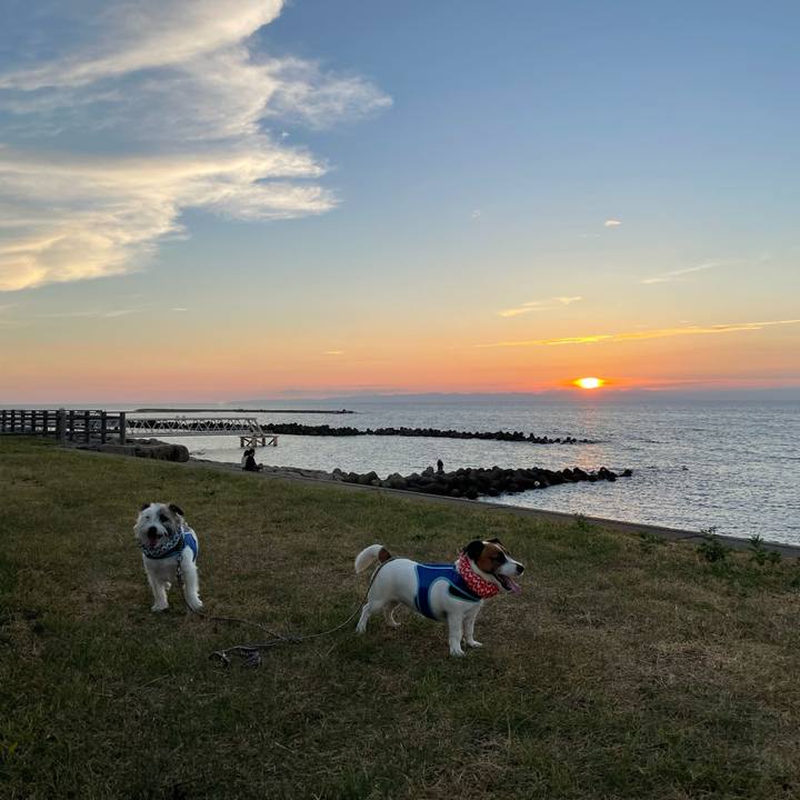 15ec5a55 f13a 4502 9815 7c1d44d05a17 1692441537803