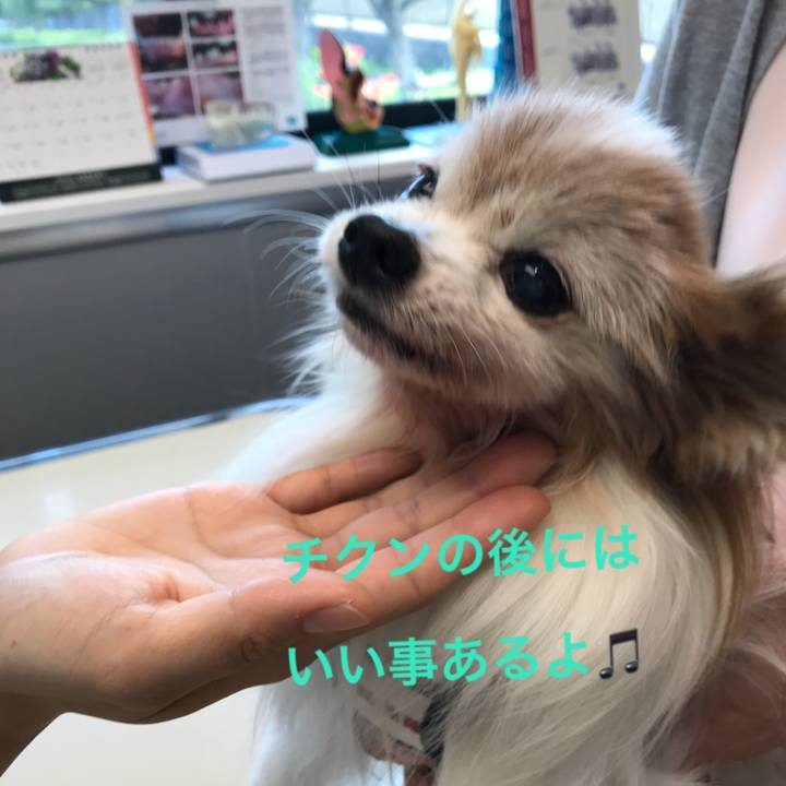 15eca3c9 5fe3 43e7 b425 eeb01d9e1ef1 1524455070402