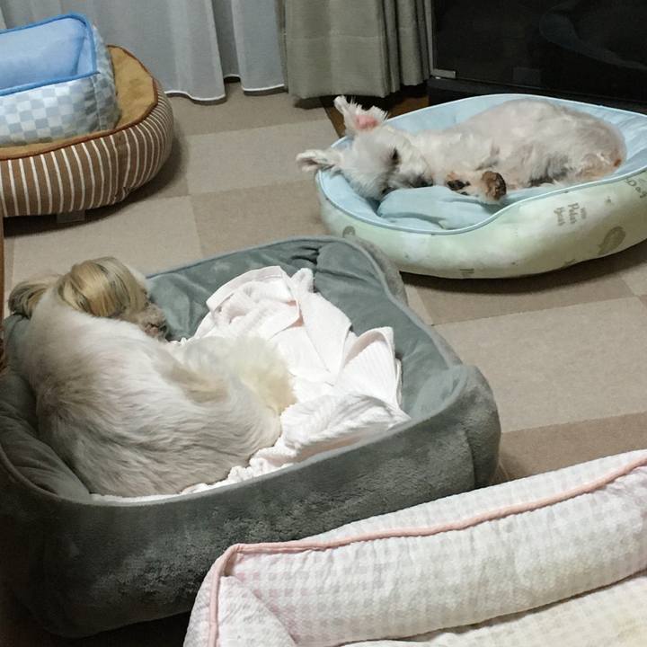 15ecbeeb d7ef 47ba bb5e 0af63ceac027 1601377373267