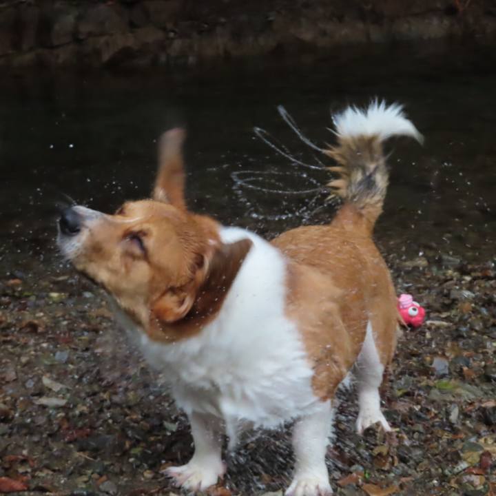 15ecc952 7a97 45e2 b981 c89fb2020171 1632190945494