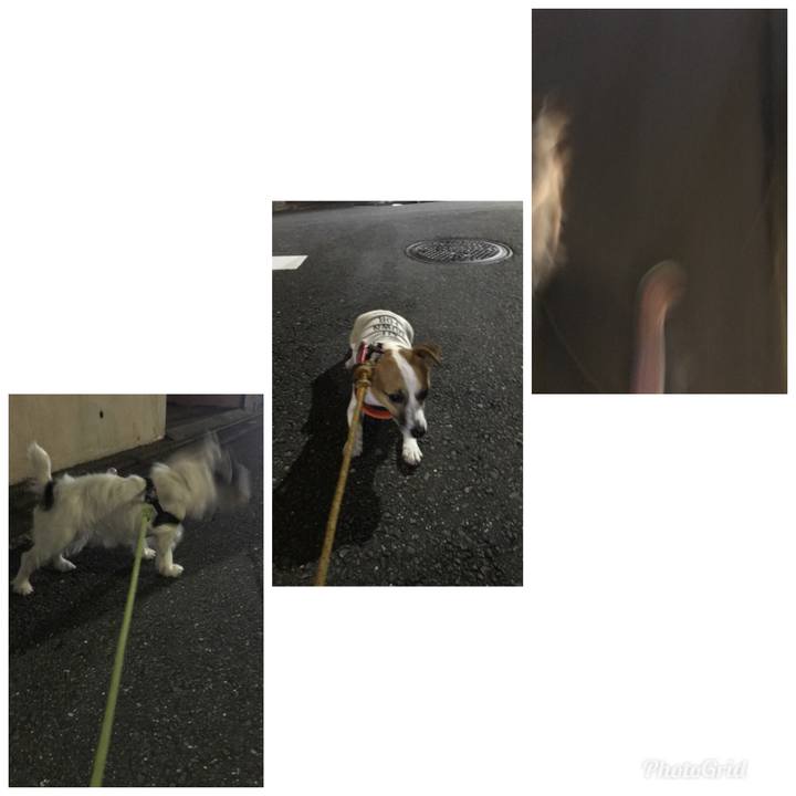 15ed2f89 4ed4 4b33 96b7 d8d18af70842 1532522975034