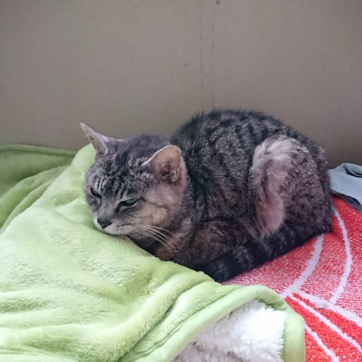 15ed3397 92f8 4546 bcb9 a5c6962115d2 1592770255703