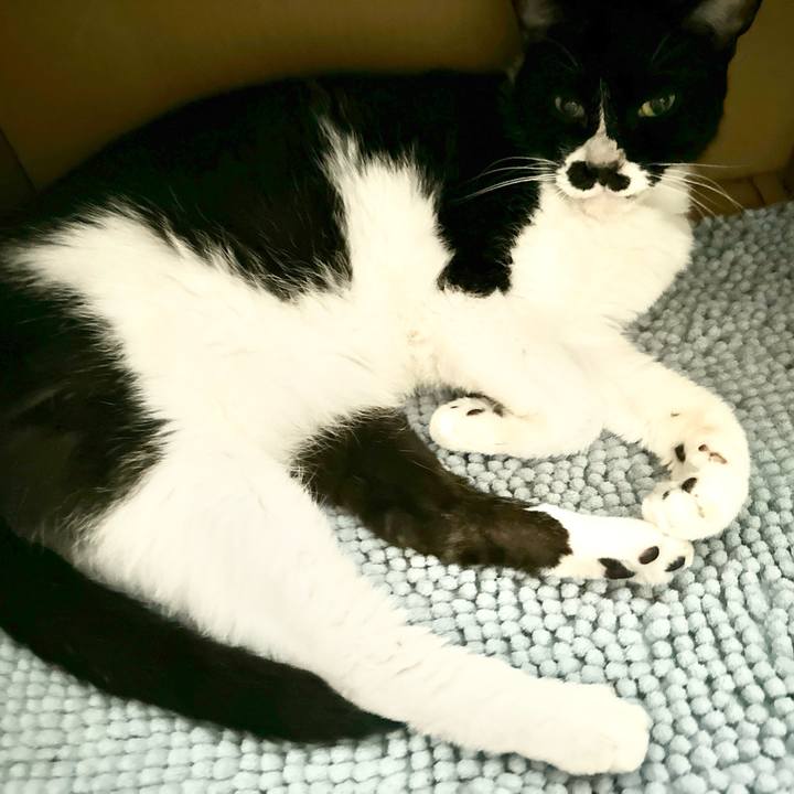 15ed5a02 1e2f 4c9f 86d4 4f03eb0f46eb 1723076410308