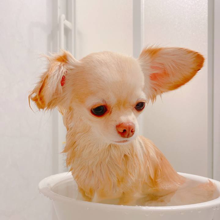 15ededf1 57c3 43ad bbbf 7fe516f59340 1643097667339