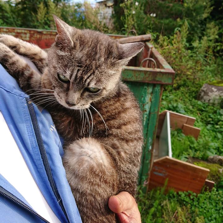 15ee17d7 5e84 4711 bf53 b6f54f8fd762 1569224558772