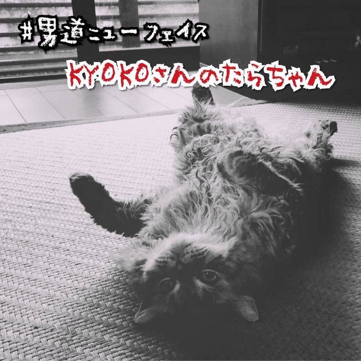 15ee30cc 45ed 48c7 a9c9 eee683cd4ff5 1566993391844