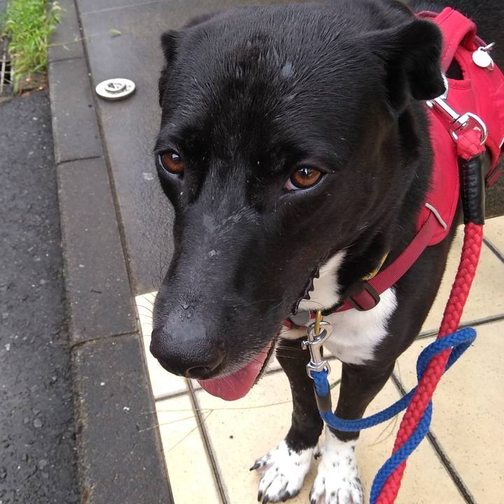 15ee34f6 964f 4aa4 99f2 2993f19d451b 1599350359615