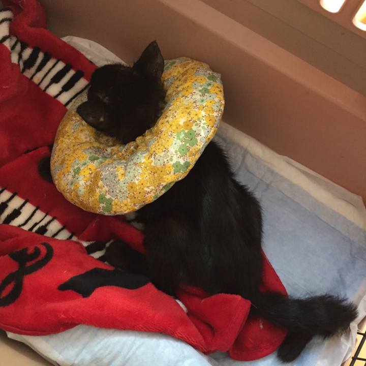 15ee8eed c22e 4566 8868 bf3b110566fd 1533103441904