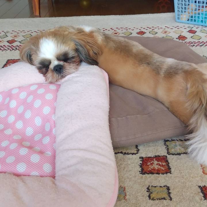 15ee98e1 9a44 4f2f ac4d 662fd30bb40e 1569545697211