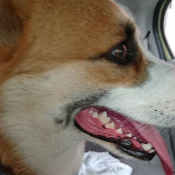 15eea9ef 5145 4902 8e8b 3052dbb4b579 1588493884916