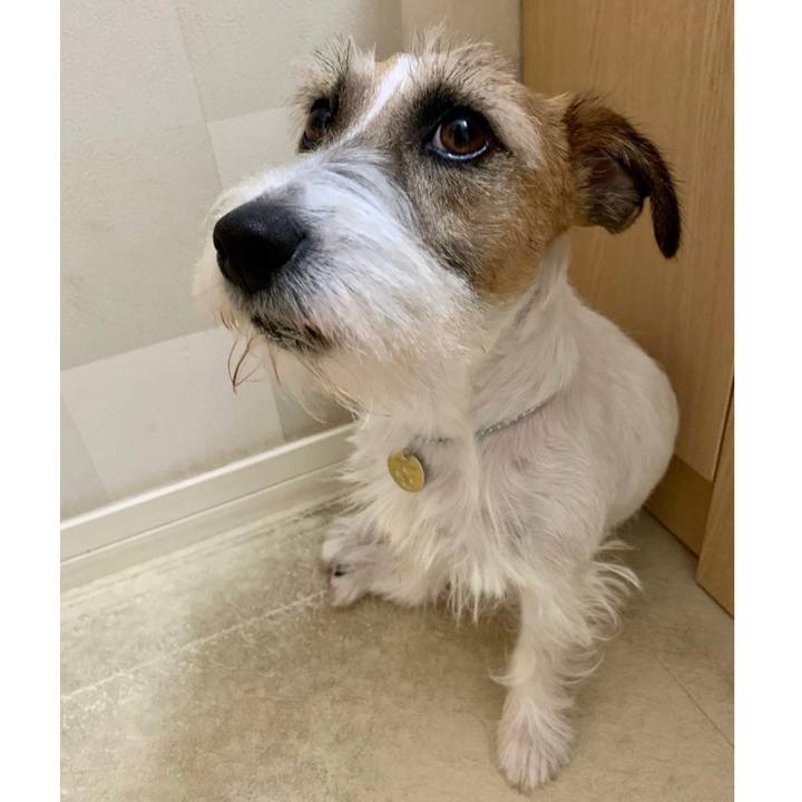 15eed27d cb7a 41e3 ac7c 451628f6b9ca 1624236052032