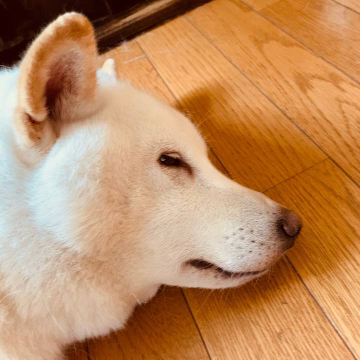 15eed295 e1bb 47db 8dc5 4be162f64758 1603490652789