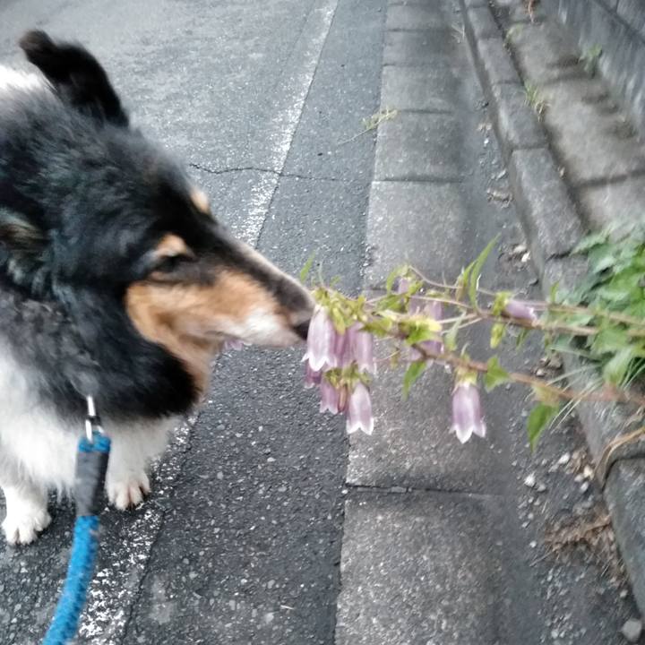 15eef1ae 93d6 40f4 b5c0 b5ada819fe57 1527774595727