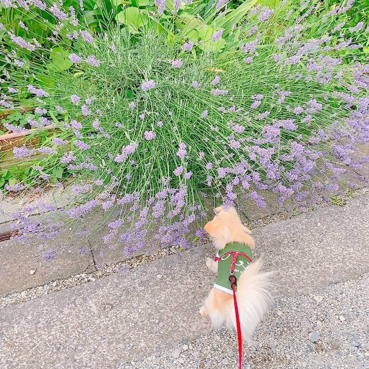 15ef0193 5d63 4b5a 9bec 0ff75743bf66 1624698957234