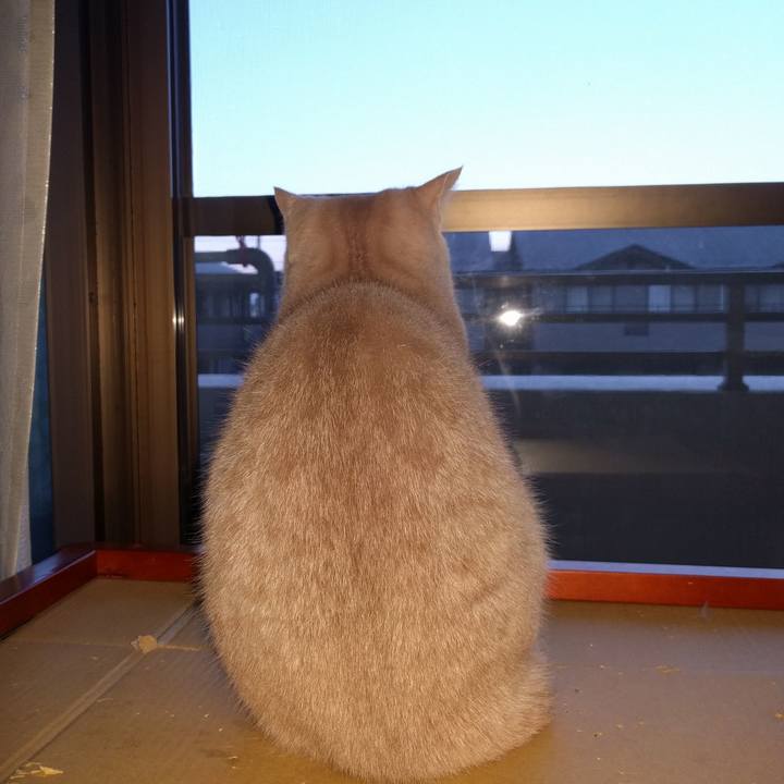 15ef0cbf 9c42 471a 8607 f6d6cf2c941e 1512596956993