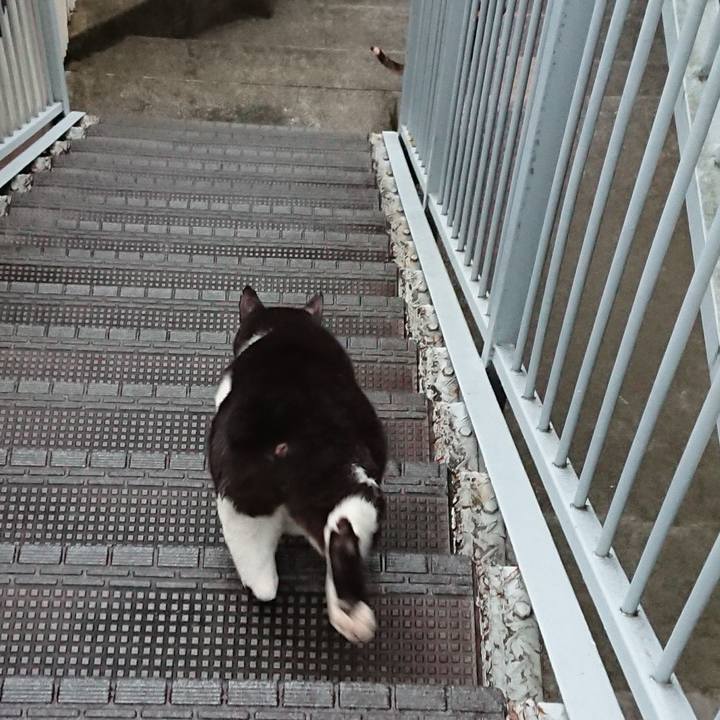 15ef16cc c702 48ef abb4 c727c61fc558 1633555995343