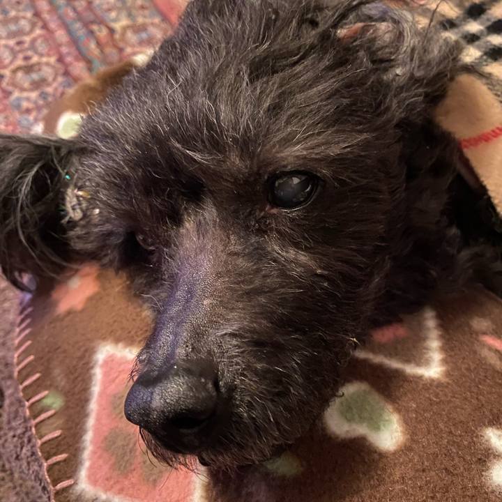 15ef2892 17b9 4663 9715 a1497c8fcfb3 1611396460989