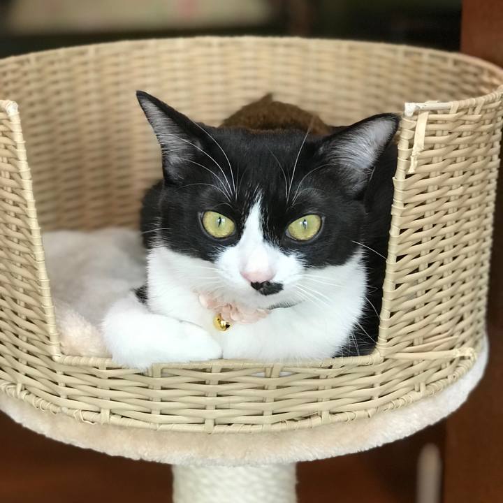 15ef2983 f844 4a6a 87d4 feb5dd703754 1517217914745