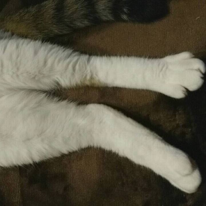 15ef302f ed04 4414 9f01 15e86b57a415 1531612879158