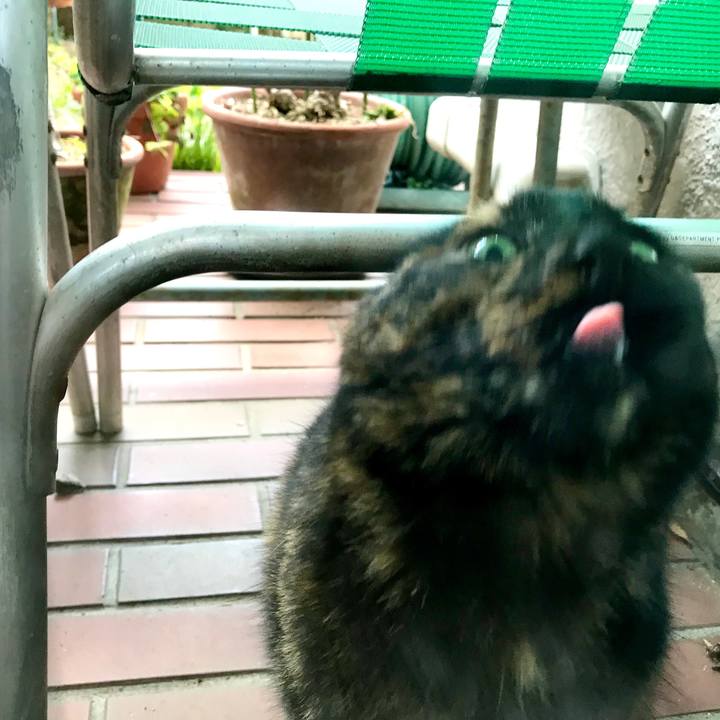 15ef34aa 46aa 44fc 8e64 69418515a3e8 1580864549786